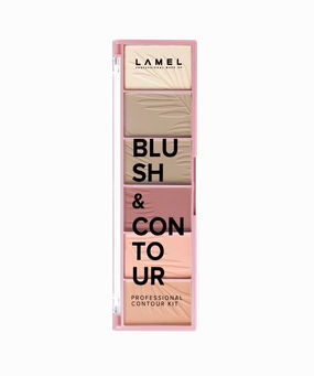 Blush & Contour kit