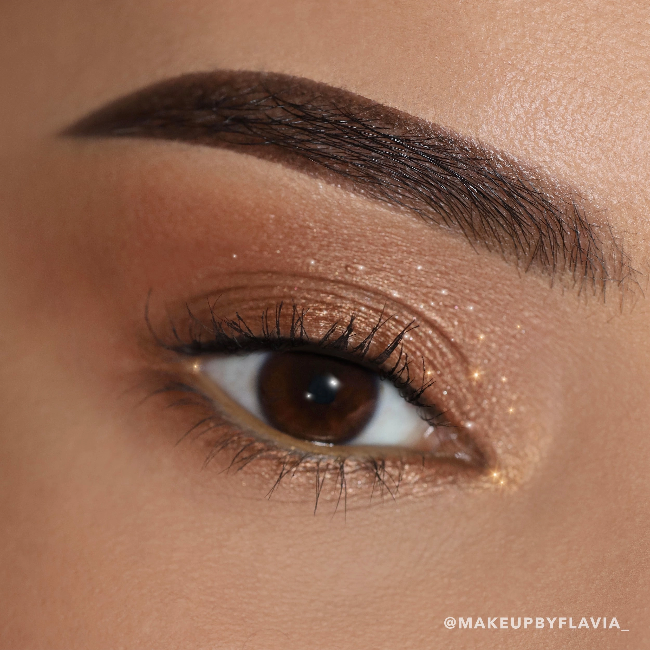 Everlust Shimmer Cream Shadow (006, Copper)