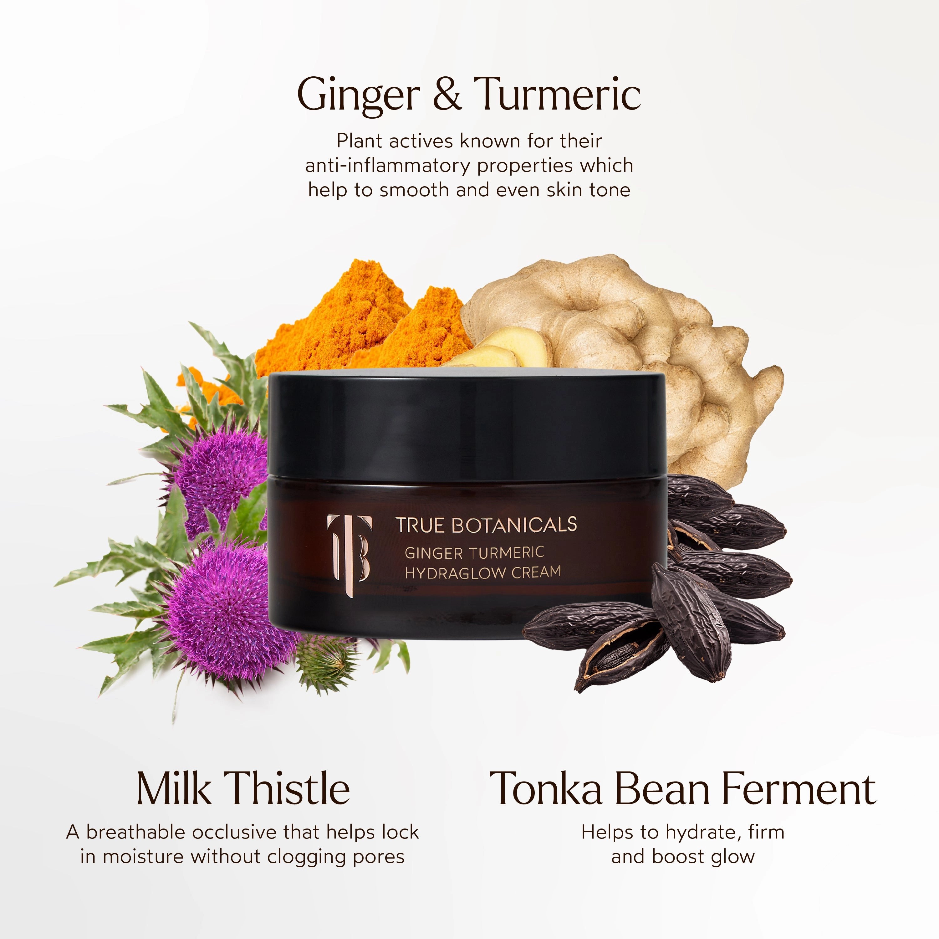 Ginger Turmeric Hydraglow Cream