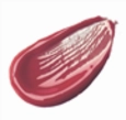 Jouer Lip Enhancer