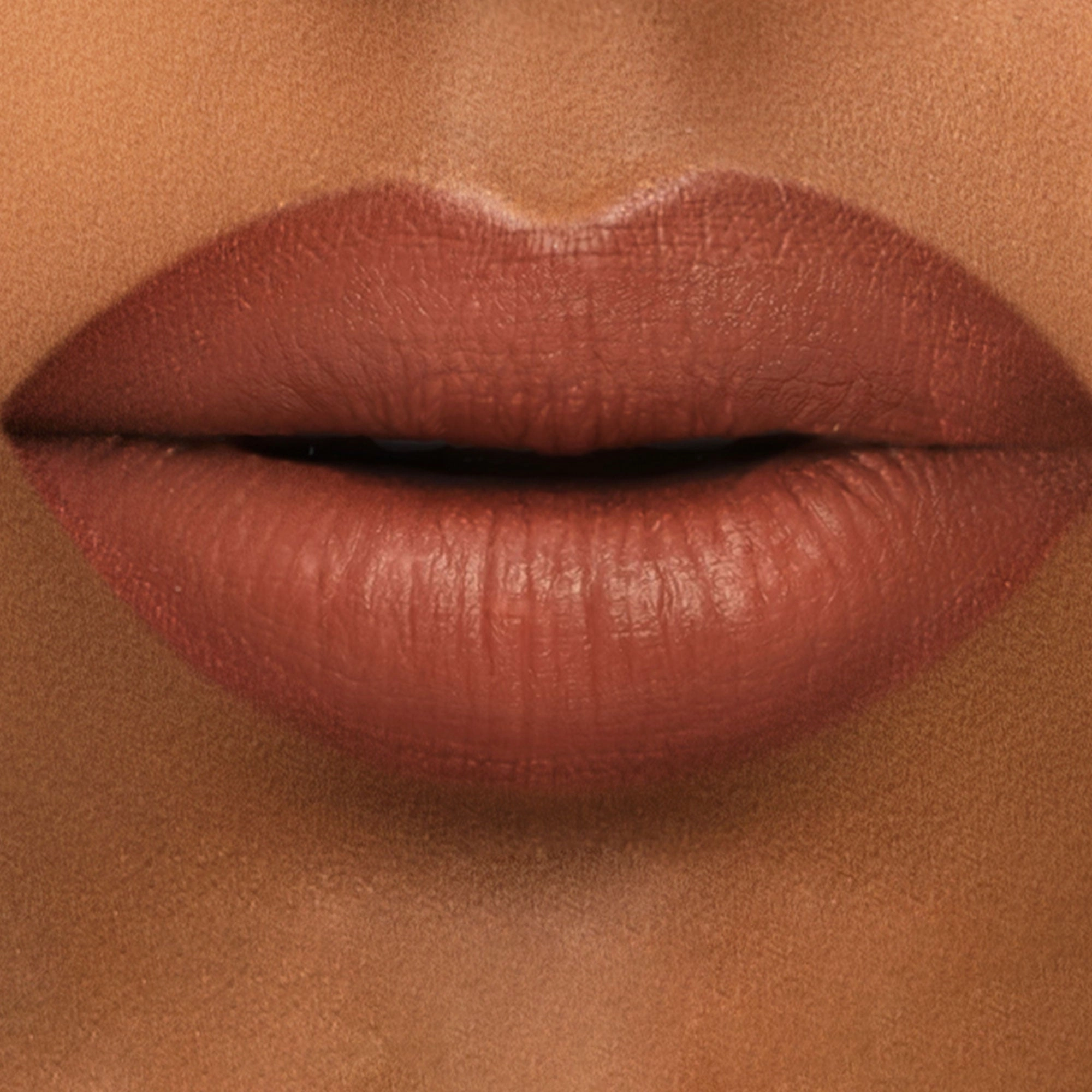 Liquid Lipstick — Zaya