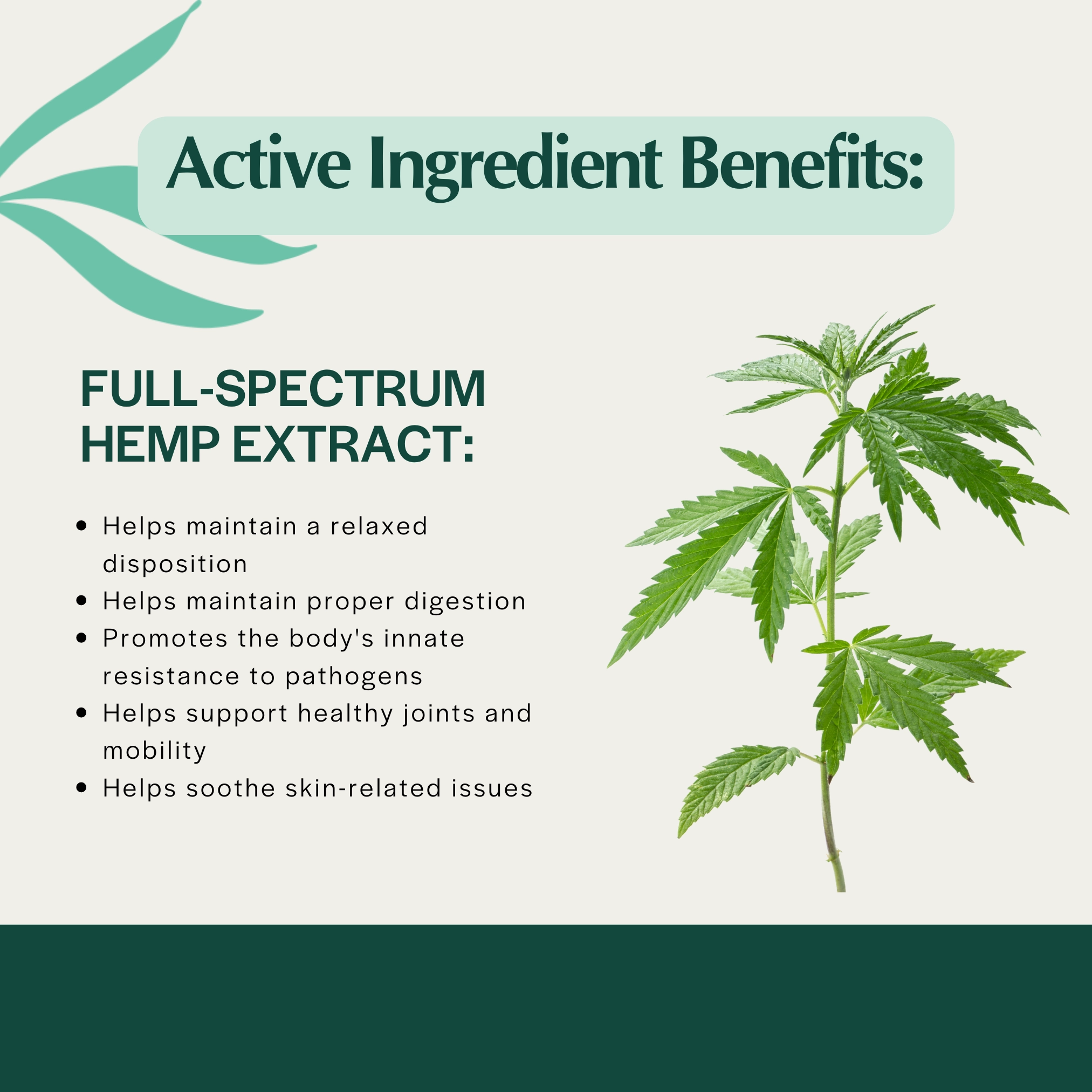 Pet Releaf Daily Releaf 500mg Hemp Oil for Large Dogs