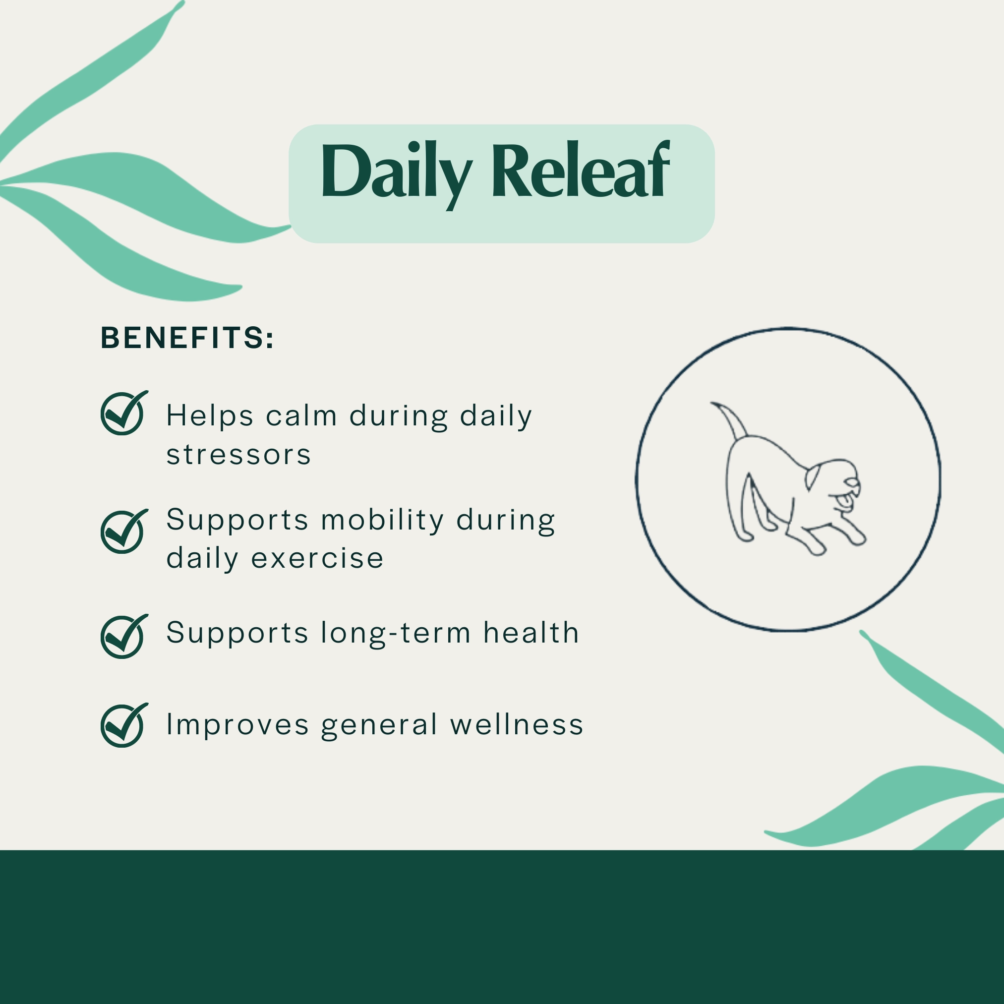 Pet Releaf Daily Releaf 500mg Hemp Oil for Large Dogs
