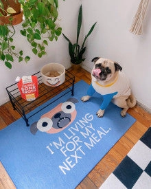 Stella & Chewy's Bountiful Bone Broth Cage Free Chicken Bone Broth Recipe