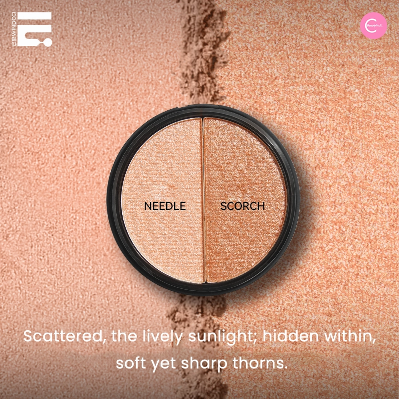 WINDCCI Sarcastic Glow Dual Shade Eyeshadow